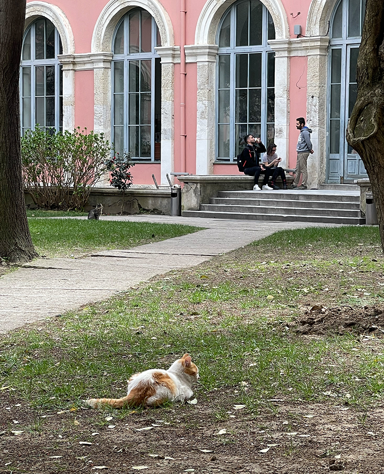 2021-2022 Öğretim Yılı İTÜ İç Mimarlık Projesi